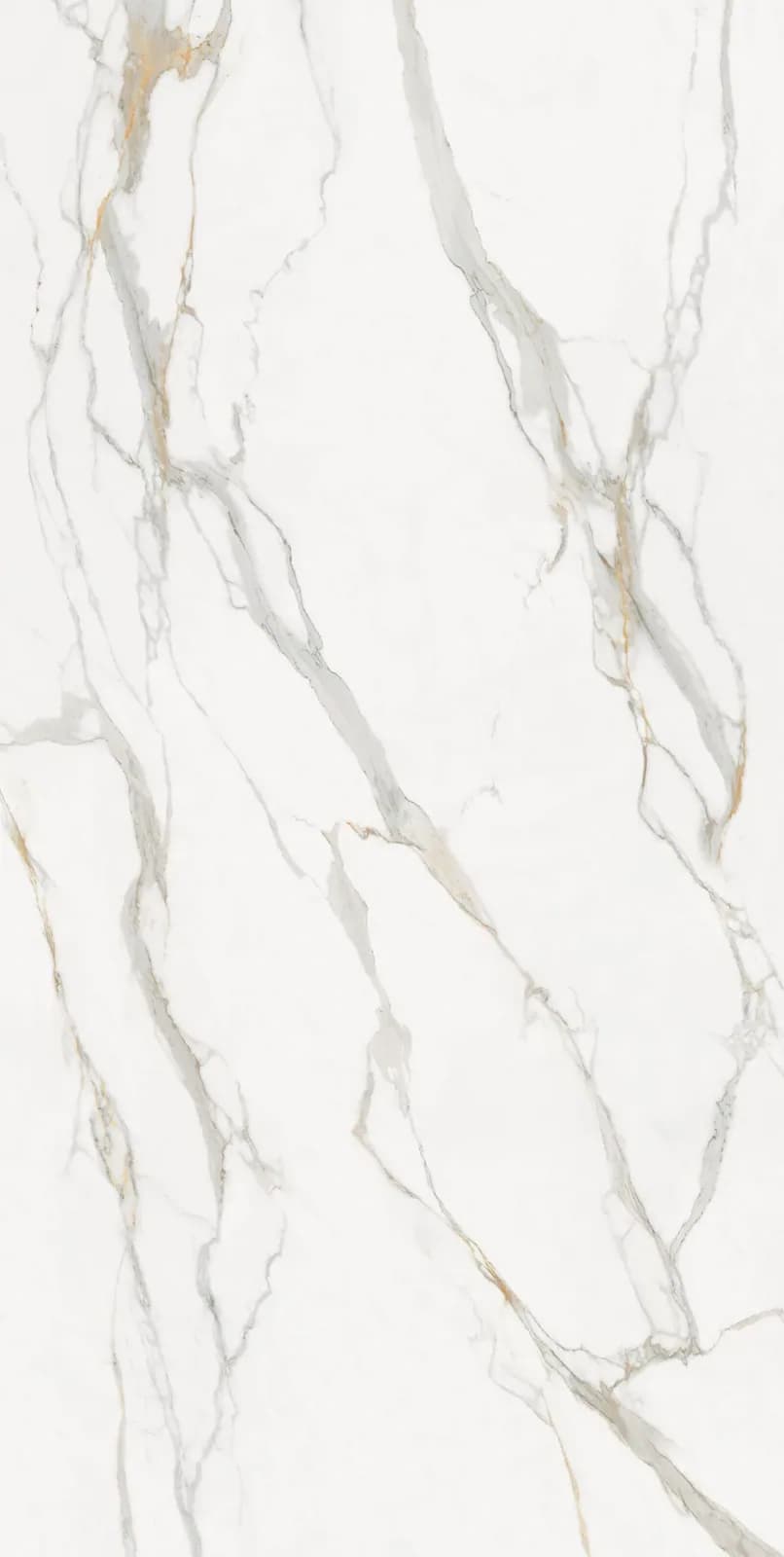 Calacatta Oro — surface detail