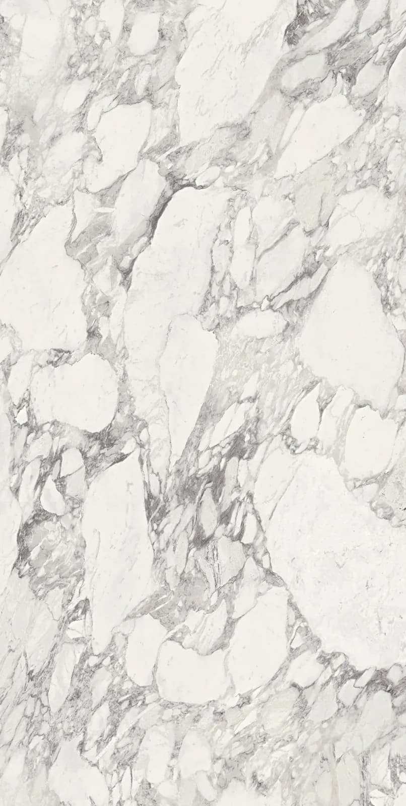 Calacatta Magnifico — surface detail