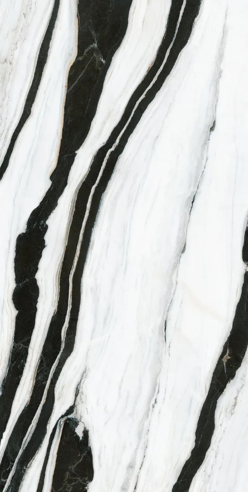 Panda White — surface detail