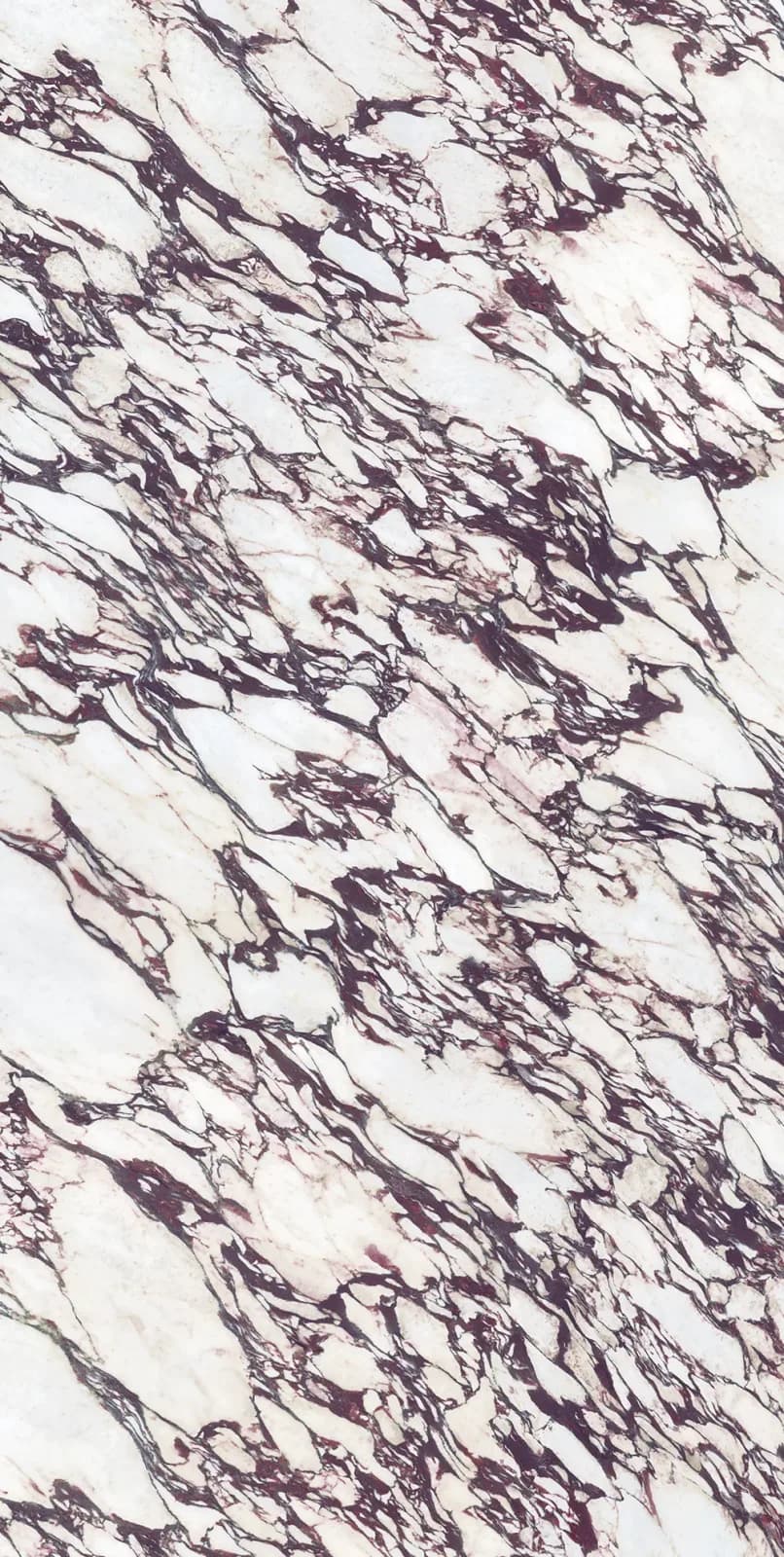 Calacatta Viola — surface detail